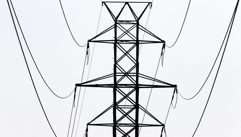 Power transmission lines carry electricity along the Interstates 40 and I-85 corridor in Orange County near Hillsborough, N.C., on Aug. 14, 2018. (AP)