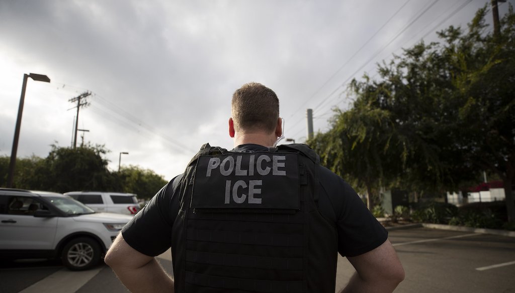In this July 8, 2019, file photo, a U.S. Immigration and Customs Enforcement officer looks on during an operation in Escondido, Calif. U.S. (AP)