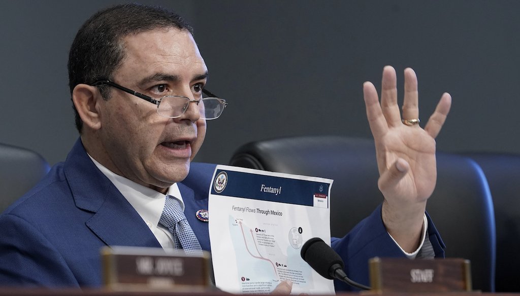 Ranking Member Henry Cuellar, D-Texas, asks a questions during a House Appropriations Homeland Security Subcommittee budget hearing, March 29, 2023. (AP)