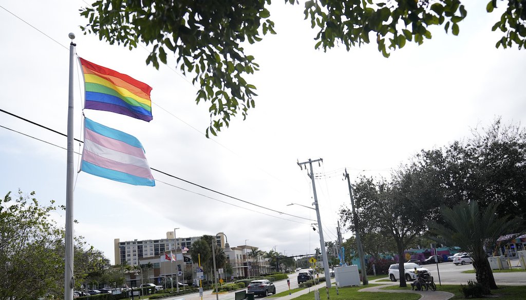 A rainbow LGBTQ+ pride flag and a transgender pride flag flap in the breeze on a pole Jan. 17, 2024, in in Wilton Manors, Fla. (AP)