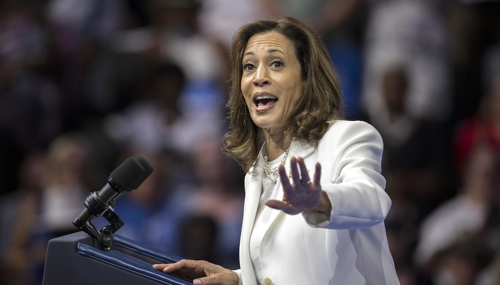 Vice President Kamala Harris speaks at a campaign rally on Aug. 29, 2024, in Savannah, Ga. (AP)