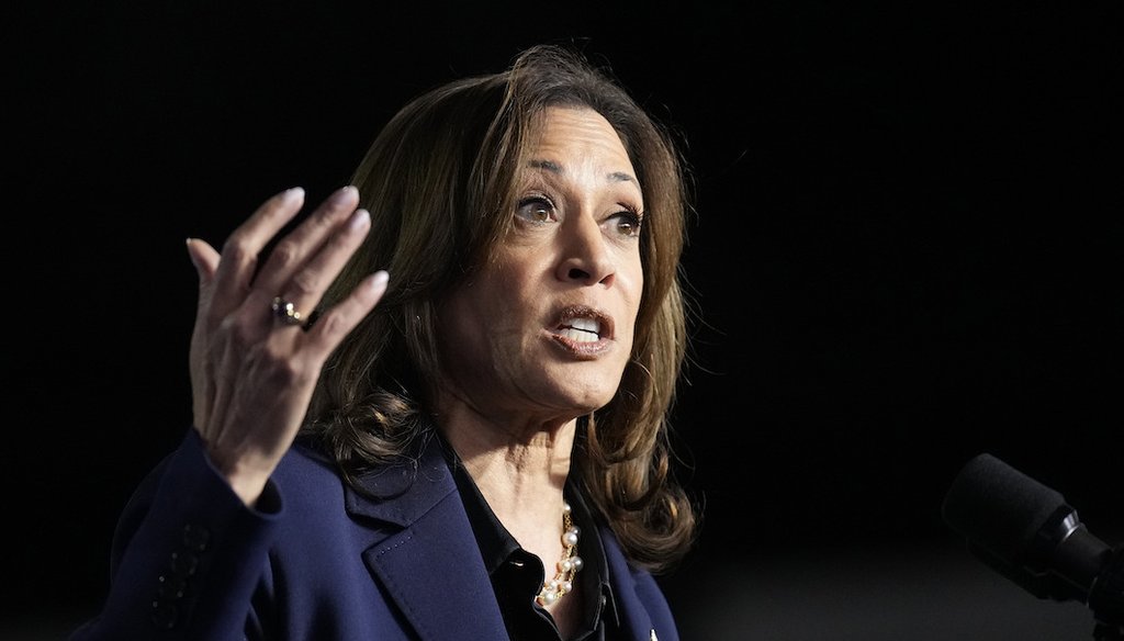 Democratic presidential nominee Vice President Kamala Harris speaks during a campaign rally at the Resch Expo in Green Bay, Wis., Thursday, Oct. 17, 2024. (AP)