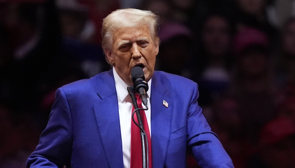 Republican presidential nominee former President Donald Trump speaks at a campaign rally at Madison Square Garden, Sunday, Oct. 27, 2024, in New York. (AP)