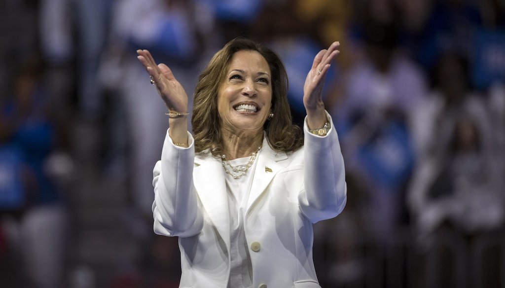 Vice President Kamala Harris speaks at a campaign rally in Savannah, Ga., on Aug. 29, 2024. (AP)