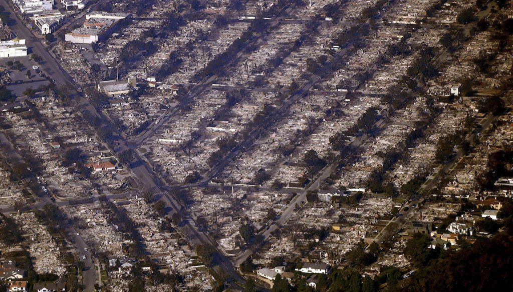 Homes are seen burned while a few still stand, Jan. 9, in the Pacific Palisades section of Los Angeles. (AP)