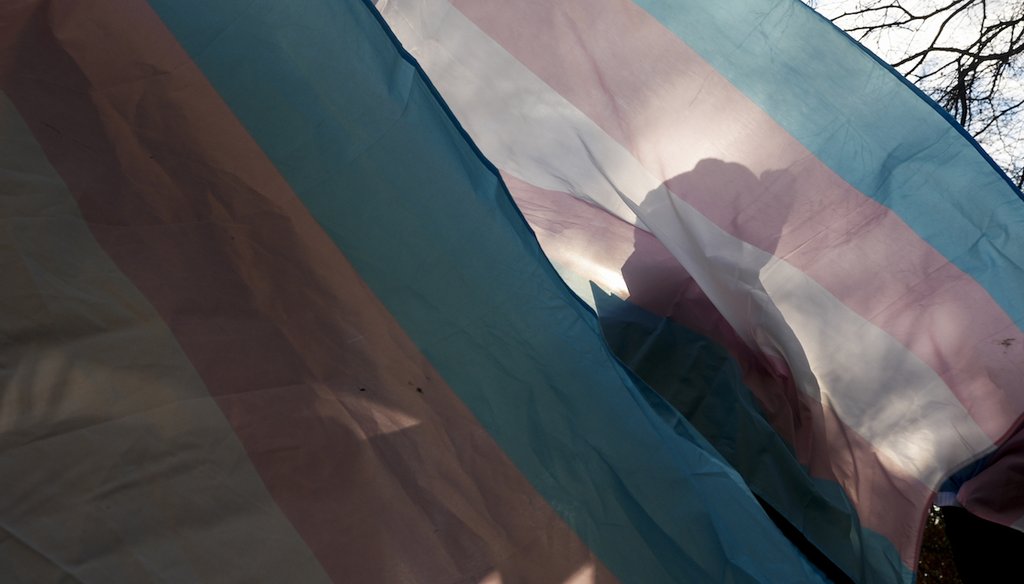 Yes, House budget bill eliminates federal Medicaid dollars for trans adults’ gender-affirming care