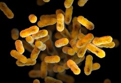 Whooping cough cases are rising. Know the symptoms and how to avoid infection.