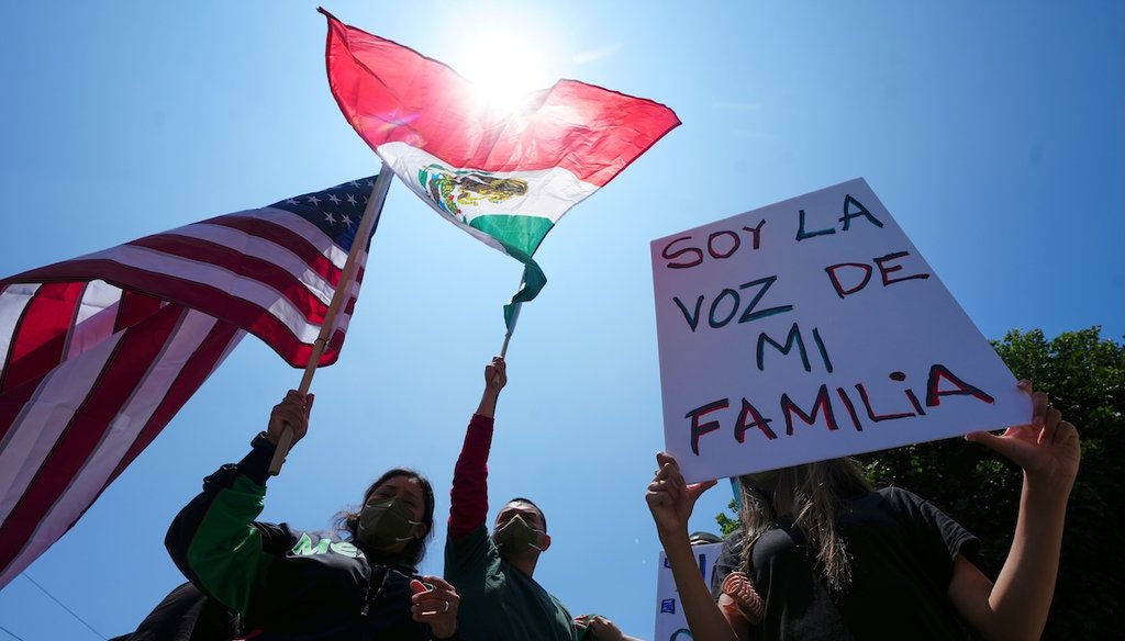 Protesters gather to denounce ICE, U.S Immigration and Customs Enforcement, operations, June 10, 2025, in Los Angeles. sign reads "I am the voice of my family." (AP)