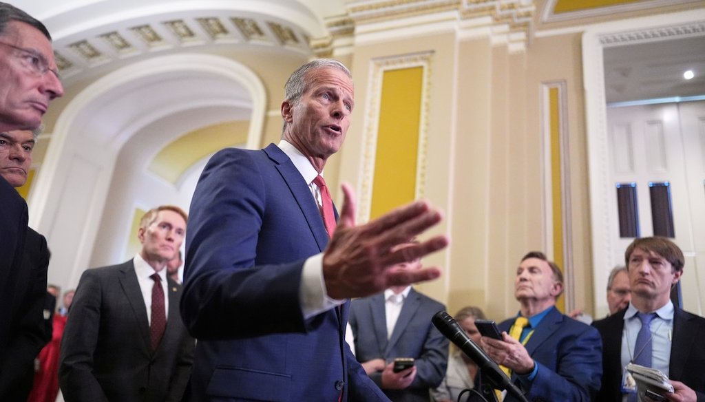 Senate Majority Leader John Thune, R-S.D., speaks to reporters following closed-door party meetings at the Capitol in Washington, June 17, 2025. (AP)