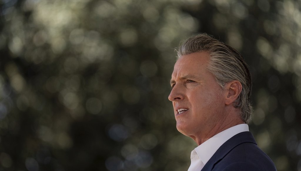 California Gov. Gavin Newsom holds a news conference in Downey, Calif., on July 16, 2025. (AP)