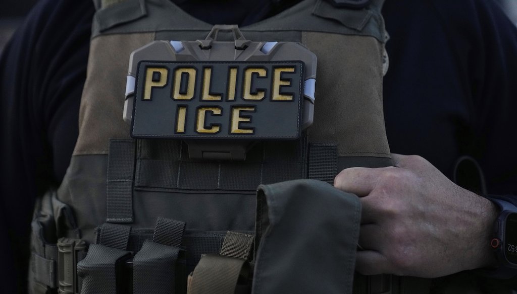 A U.S. Immigration and Customs Enforcement agent takes part in an early morning operation in Park Ridge, Ill., Sept. 19, 2025. (AP)