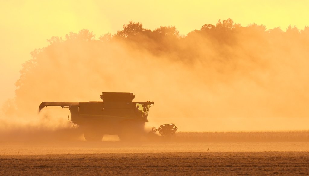A soybean harvest on the Warpup Farm in Warren, Ind., on Sept. 17, 2025. (AP)