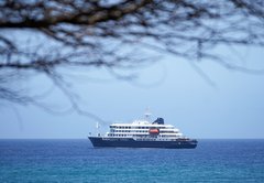 What is hantavirus? What we know about the fatal cruise ship outbreak