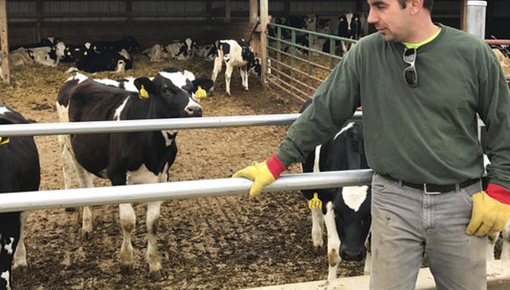 Tim Prosser who owns a dairy farm, with his father John, tends to his cows in Columbus, Wis. (AP/Cara Lombardo)