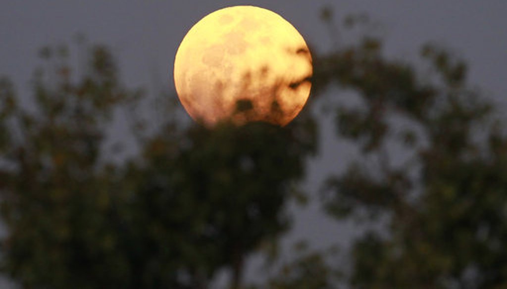The moon rises behind the tree seen from Naypyitaw, Myanmar, Wednesday, Jan. 31, 2018. (AP Photo/Aung Shine Oo)