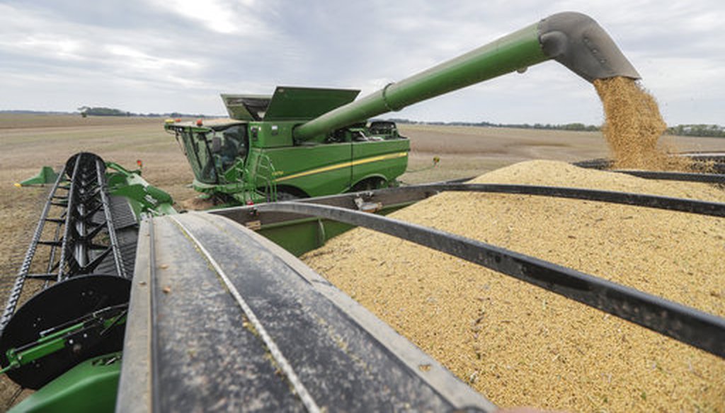 Mike Starkey offloads soybeans from his combine as he harvests his crops in Brownsburg, Ind., on Sept. 21, 2018. (AP/Michael Conroy)