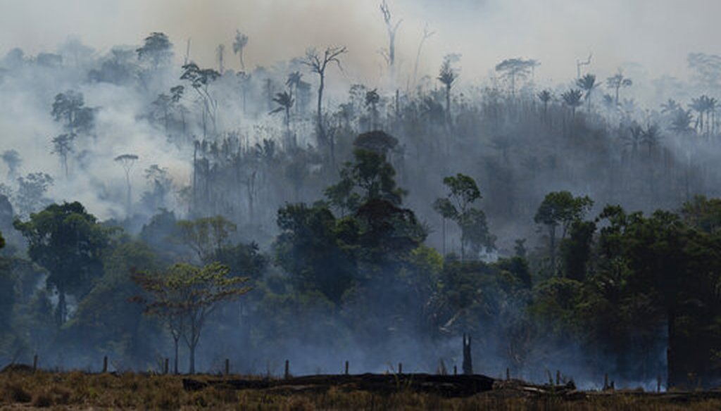 Fire consumes the Amazon rainforest in Altamira, Brazil, Tuesday, Aug. 27, 2019. (AP)