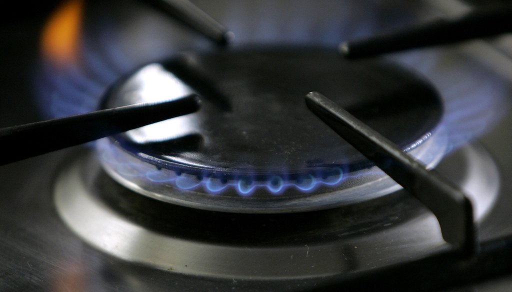 In this Jan. 11, 2006 file photo, a gas-lit flame burns on a natural gas stove in Stuttgart, Germany. (AP)
