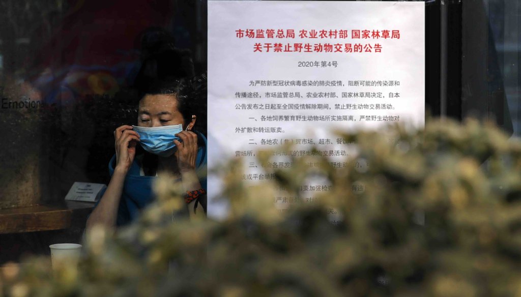 A woman puts on a mask near a notice board that reads "Bans on wild animals trading following the coronavirus outbreak" at a cafe in Beijing on Feb. 10, 2020.