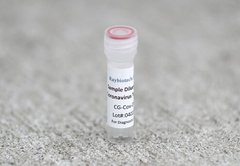 Antibody tests: The promise and pitfalls of using them to reopen the US