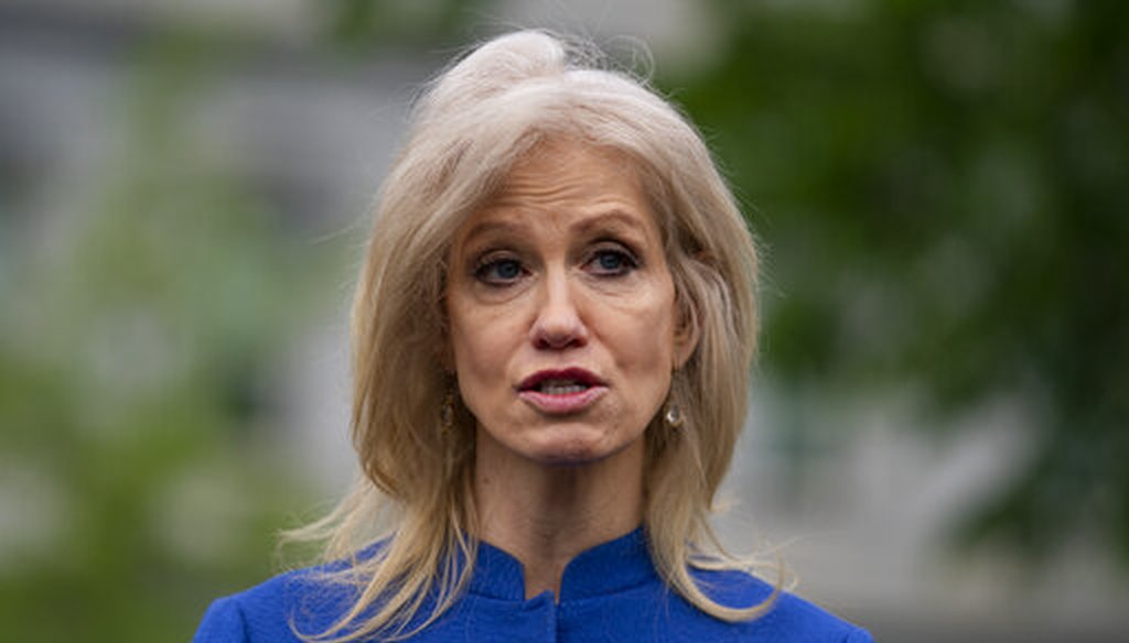 White House counselor Kellyanne Conway talks to reporters about the coronavirus at the White House on April 15, 2020, in Washington. (AP/Vucci)