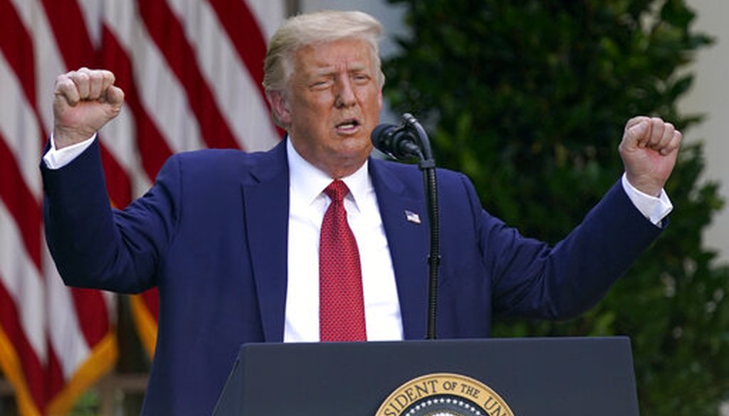 President Donald Trump holds a news conference in the White House Rose Garden on July 14, 2020. (AP)