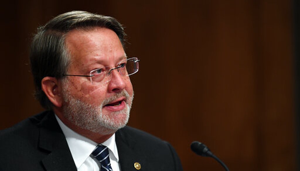 Sen. Gary Peters, D-Mich., questions Department of Homeland Security Acting Secretary Chad Wolf during a Senate Homeland Security and Governmental Affairs Committee hearing, Aug. 6, 2020. (Washington Post via AP)