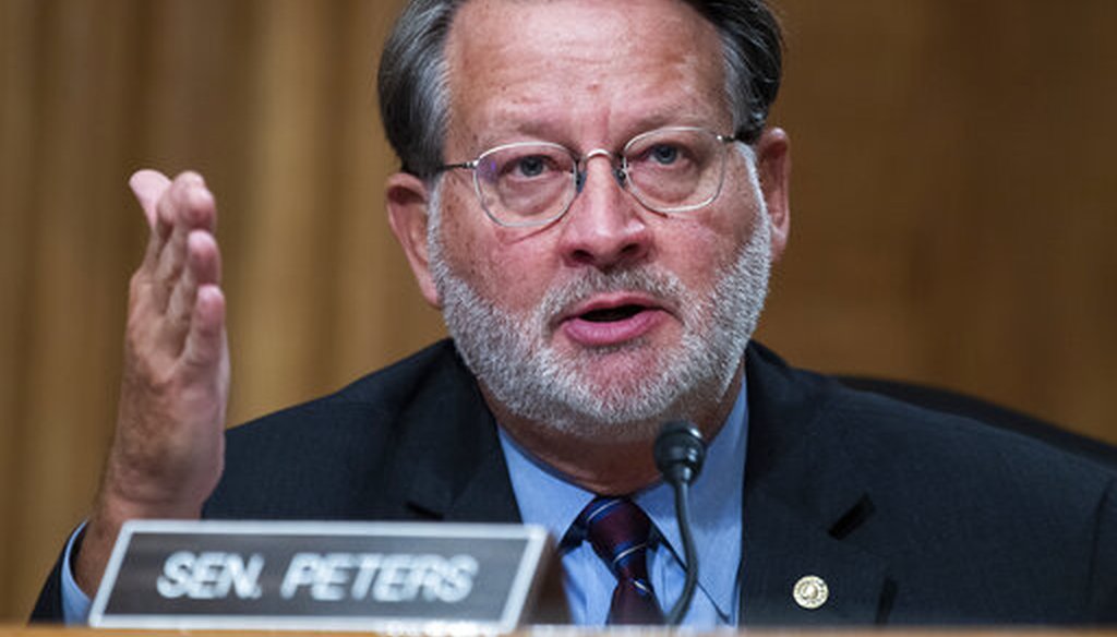 Sen. Gary Peters, D-Mich., speaks during Senate Homeland Security and Governmental Affairs Committee hearing on "Threats to the Homeland," Sept. 24, 2020. (AP)