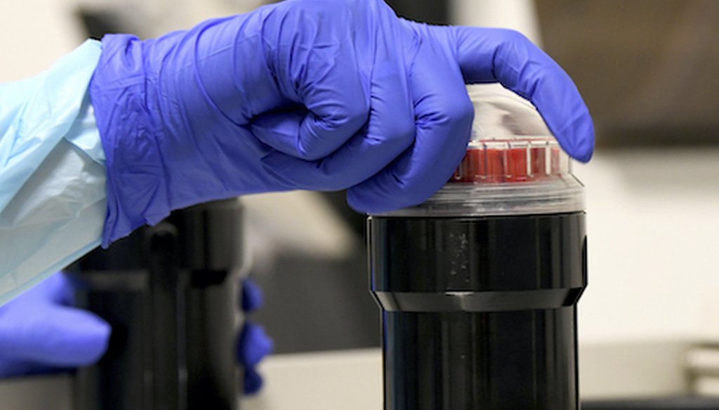 In this file photo dated Wednesday, Sept. 2, 2020, a University of Miami Miller School of Medicine lab technician processes blood samples from volunteers taking part in testing the NIH funded Moderna COVID-19 vaccine. (AP)