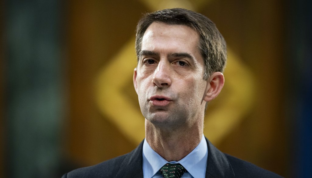 Sen. Tom Cotton, R-Ark., speaks during a Senate Banking Committee hearing on Capitol Hill, Dec. 1, 2020. (AP)