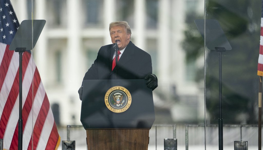 President Donald Trump speaks during a rally protesting the electoral college certification of Joe Biden as president on Jan. 6, 2021, in Washington. (AP)