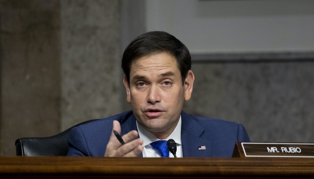 Sen. Marco Rubio, R-Fla., speaks during a confirmation hearing for United States Ambassador to the United Nations nominee Linda Thomas-Greenfield, Jan. 27, 2021. (AP)