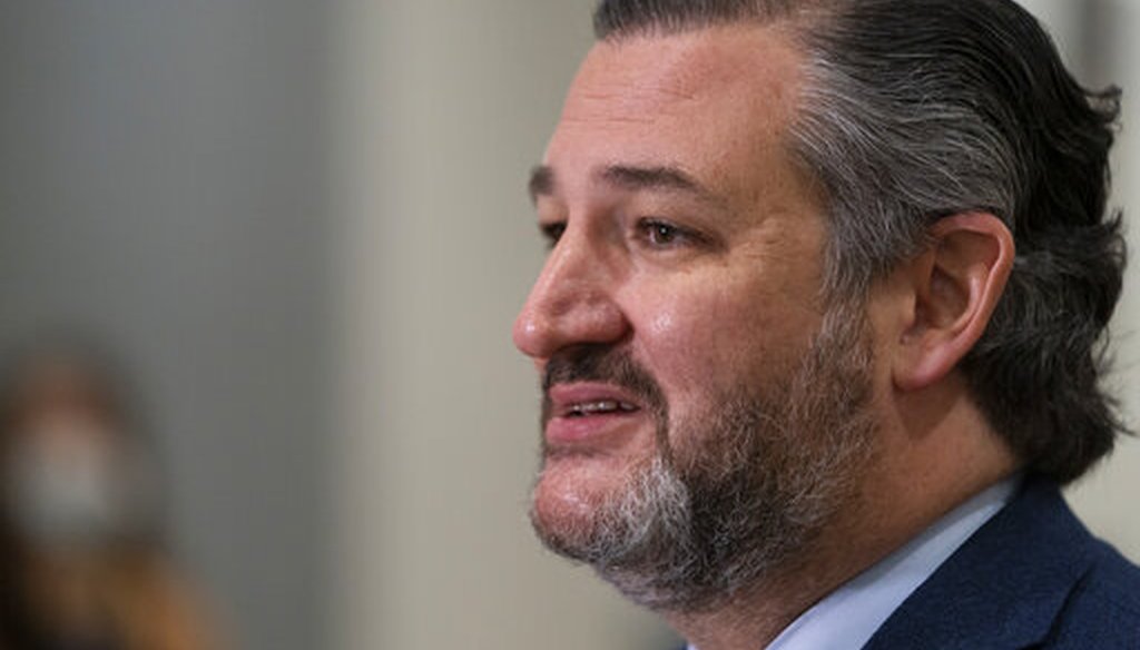 Sen. Ted Cruz, R-Texas, speaks with reporters on Capitol Hill on Feb. 13, 2021. (AP)