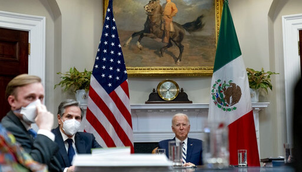 President Joe Biden appears at a virtual meeting with Mexican President Andres Manuel Lopez Obrador on March 1, 2021. (AP)