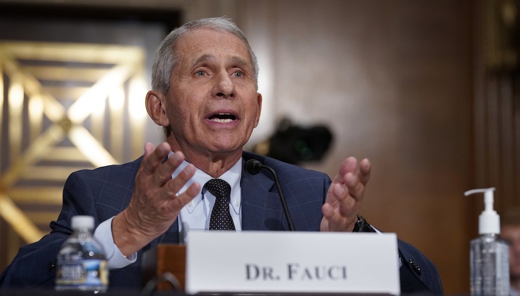 Dr. Anthony Fauci testifies before the Senate Committee on Health, Education, Labor and Pensions in July 2021 (AP)