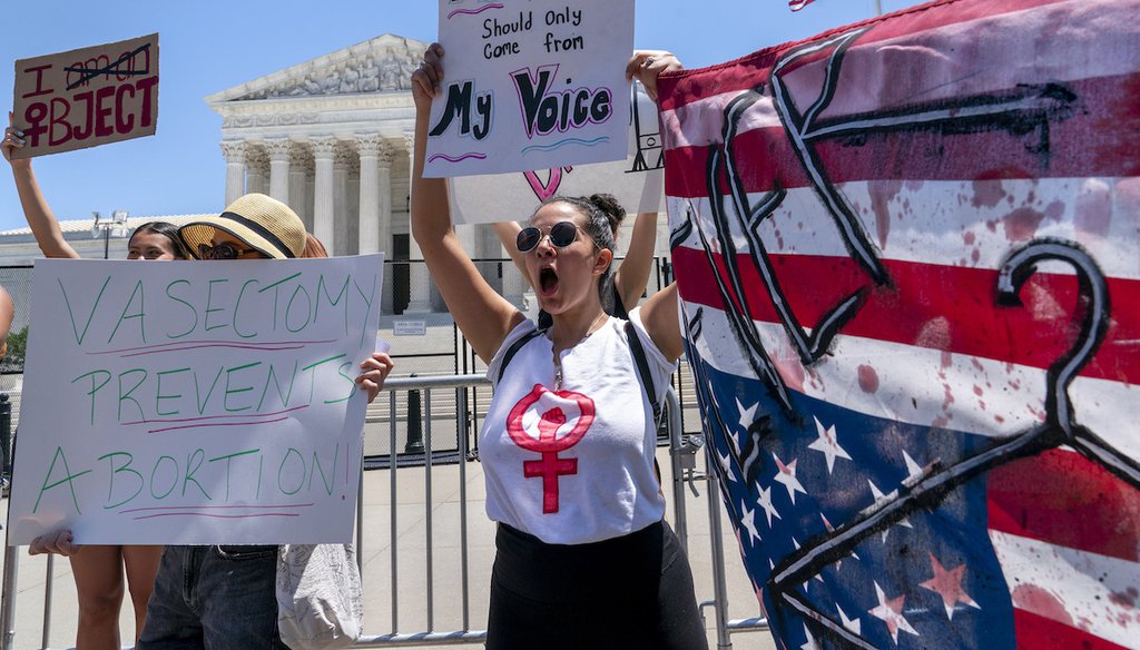 Joanna Liverance, 26, of Detroit protests with abortion-rights supporters outside the Supreme Court on June 29, 2022. (AP)