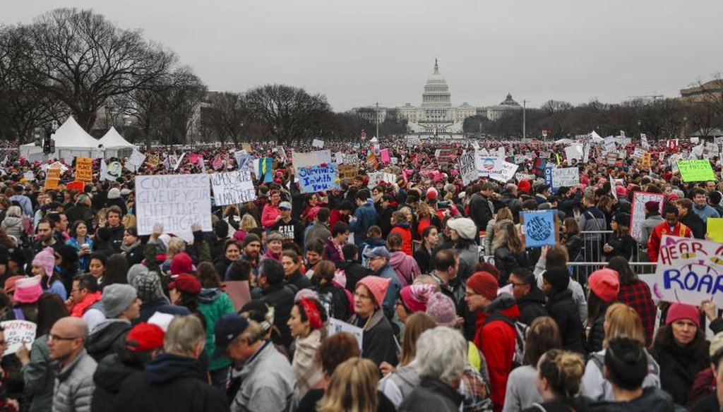 Protesters gather on the National Mall for the Women's March on Washington during the first full day of Donald Trump's presidency, Saturday, Jan. 21, 2017 in Washington. (AP Photo/John Minchillo)