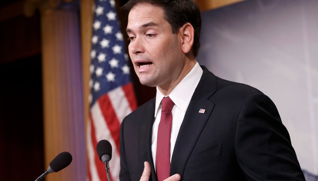 Sen. Marco Rubio, R-Fla., released a new book, "American Dreams," on Tuesday, Jan. 13.