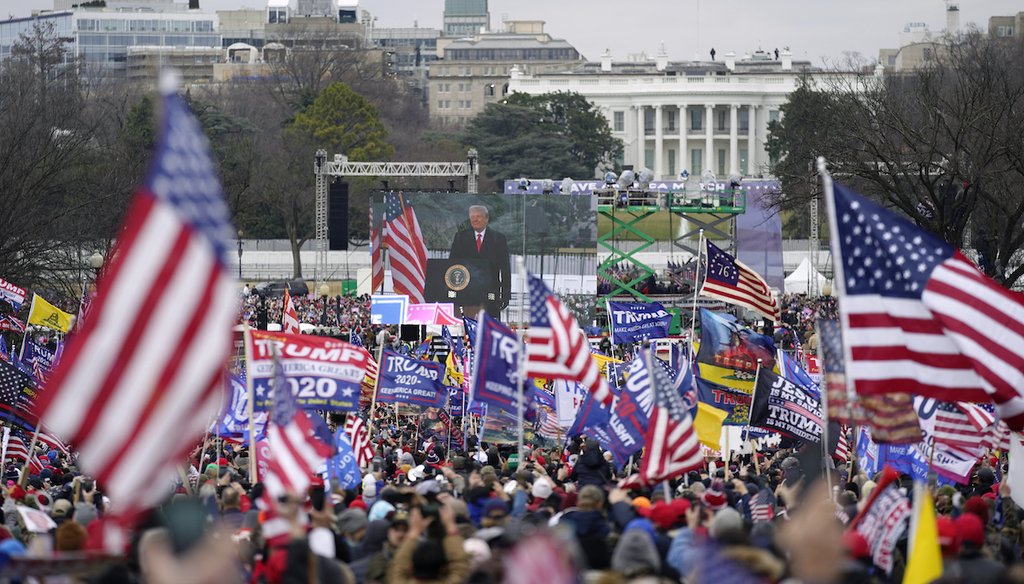 Thousands of people gathered at a rally near the White House Jan. 6, 2021, to show their support for President Donald Trump and his baseless claims of election fraud. (AP)