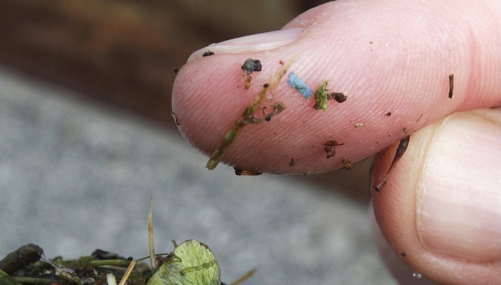A blue rectangular piece of microplastic sits on the finger of a University of Washington-Tacoma environmental science researcher, after it was found in debris collected from the Thea Foss Waterway, in Tacoma, Wash., on May 19, 2010. (AP)