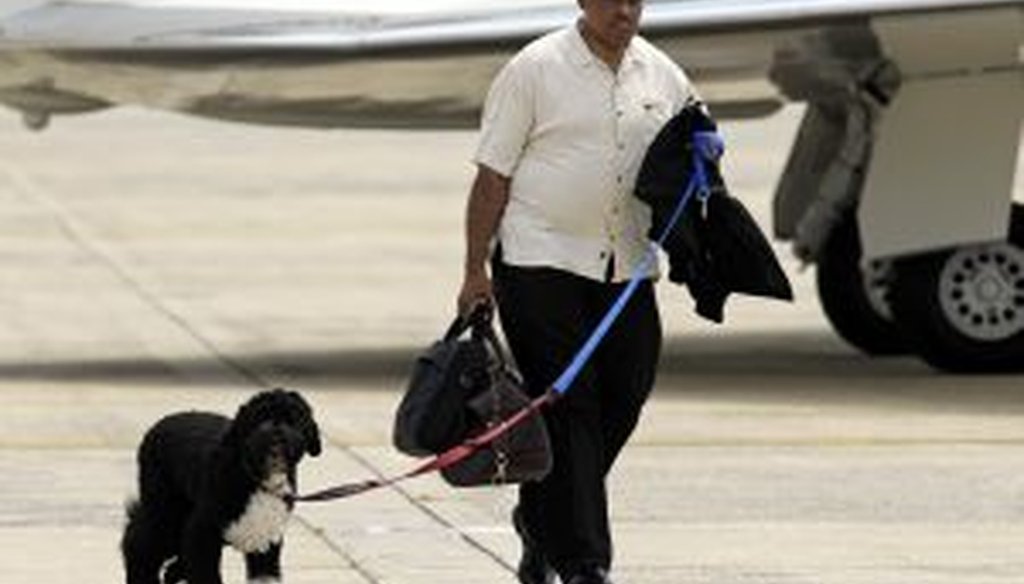 Bo, the White House dog, accompanied the Obamas on vacation -- but not on his own jet