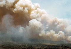 How climate change is making wildfires worse