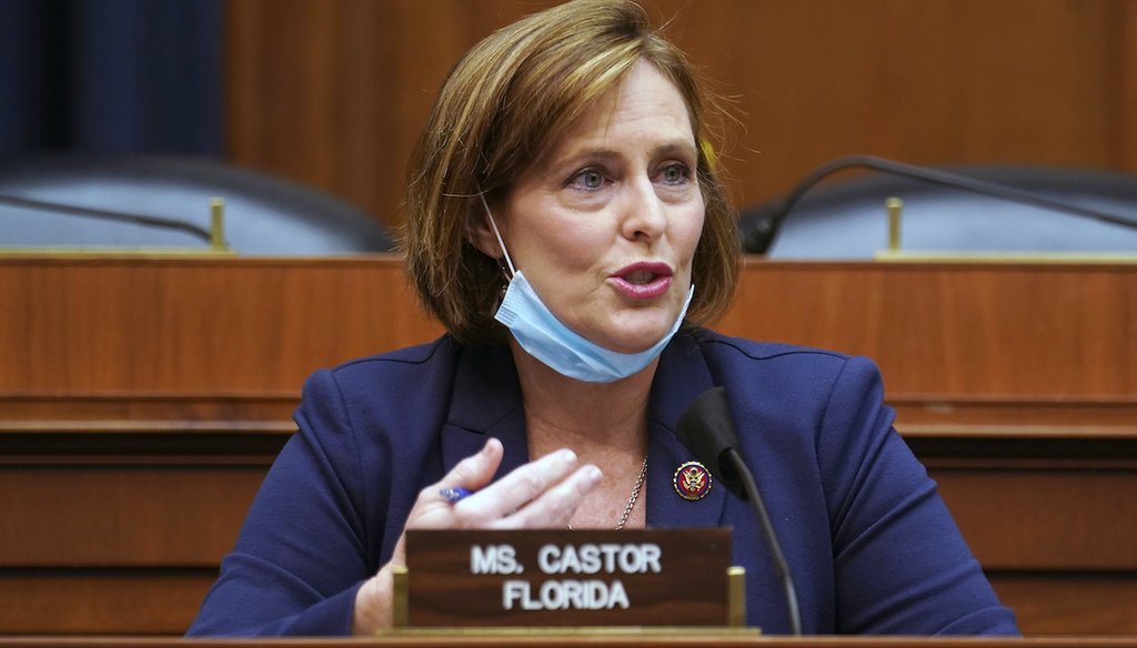 In this May 14, 2020 file photo Rep. Kathy Castor, D-Fla., speaks during House Energy and Commerce Subcommittee on Health hearing on Capitol Hill in Washington. PolitiFact rates a recent claim that she's a communist Pants on Fire.