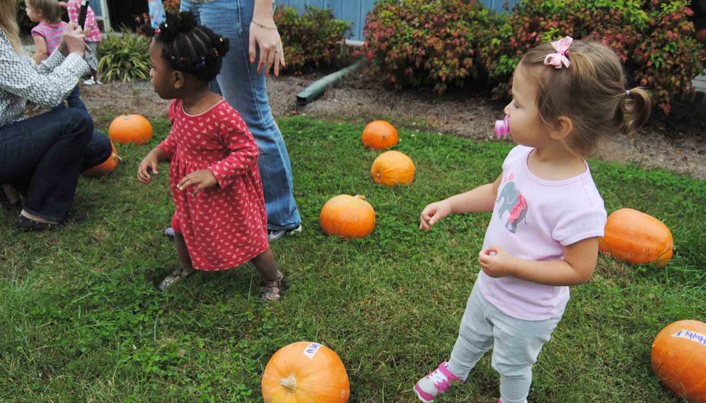 Children at Cathy Lee Development Childcare Center in Knightdale, NC, participate in a pumpkin patch. Photo by The News & Observer.