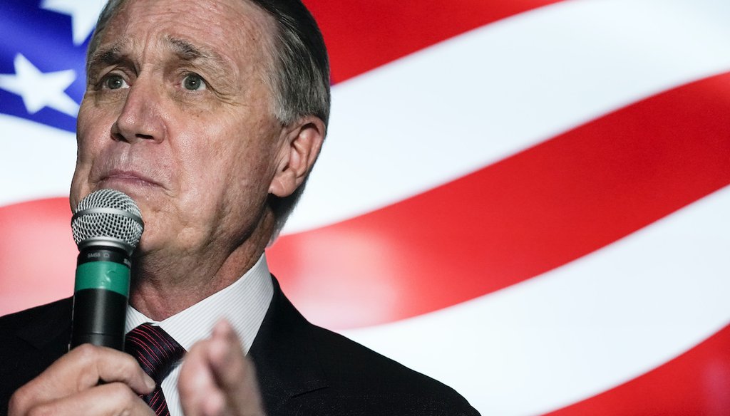 U.S. Sen. David Perdue, R-Ga., speaks during a campaign rally on Nov. 13, 2020, in Cumming, Ga. (AP)