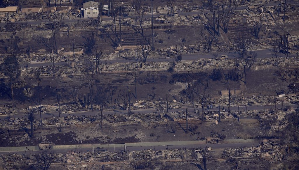 The devastation from the Palisades Fire is seen from the air in the Pacific Palisades neighborhood of Los Angeles, Jan. 9, 2025. (AP)