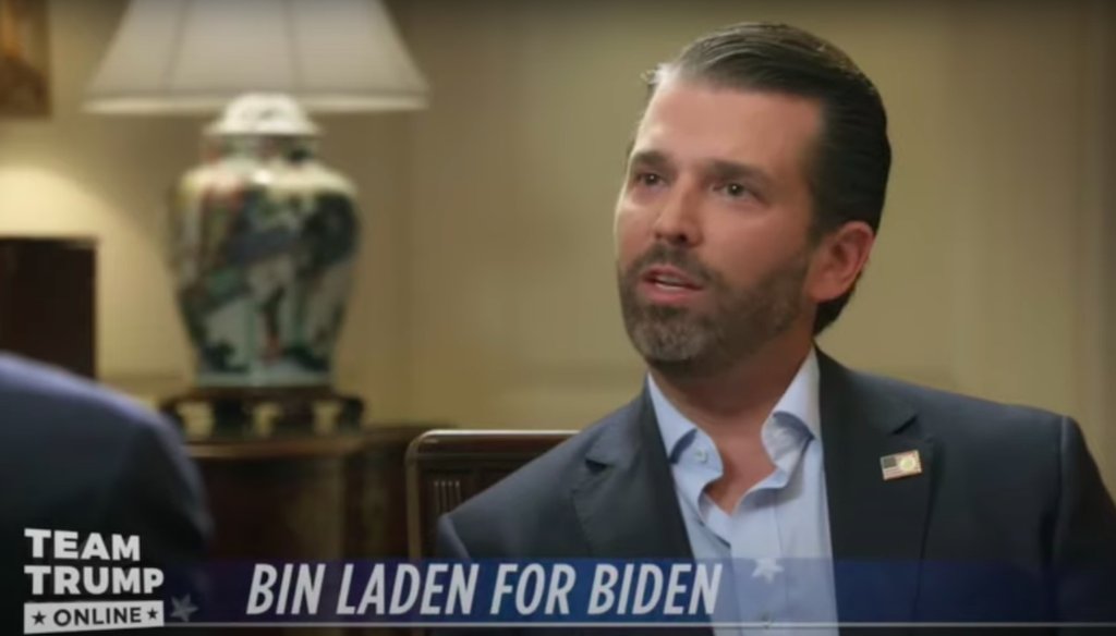 Donald Trump Jr. interviewed his father for Father's Day weekend. (Screenshot)