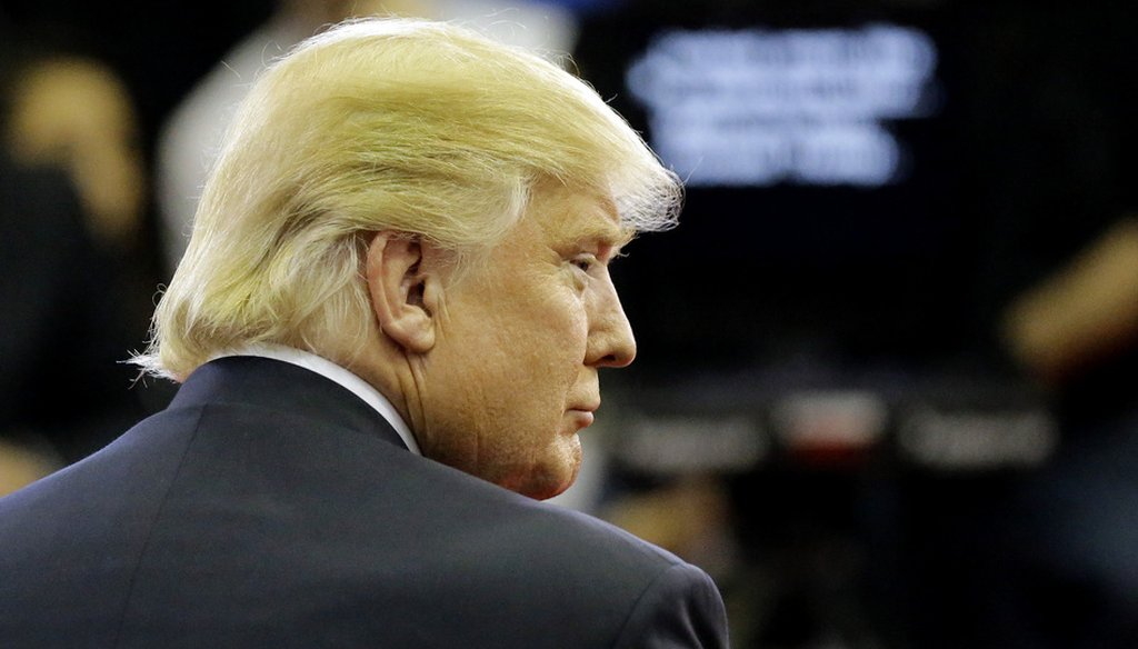 President Donald Trump. David J. Phillip / Associated Press