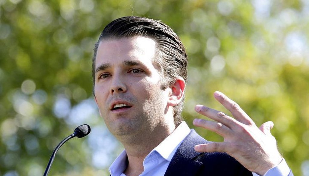 Contacts between Donald Trump Jr. and a Russian agent have focused more scrutiny on Russian meddling in the 2016 U.S. presidential election. 