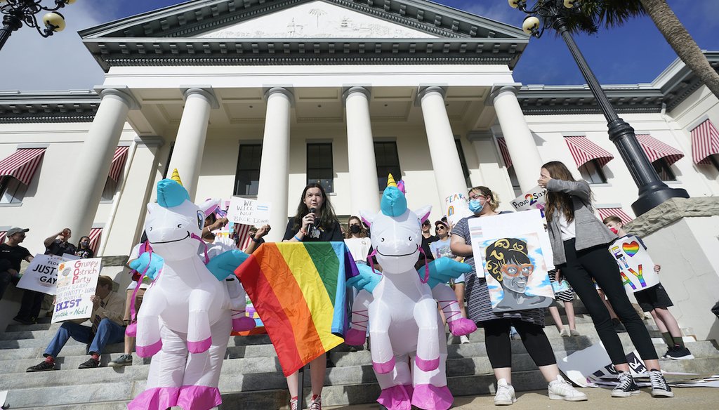 Demonstrators near the Florida State Capitol gather to speak against a bill that forbids discussions of sexual orientation and gender identity in schools on March 7, 2022, in Tallahassee. (AP)
